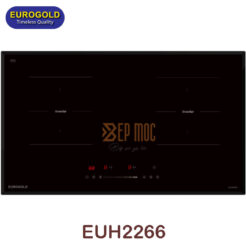 Bếp từ đôi EUH2266 Eurogold 1