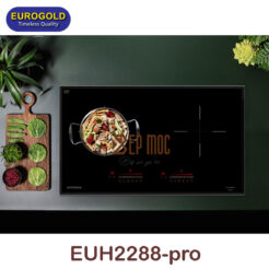 Bếp từ đôi EUH2288Pro Eurogold 3