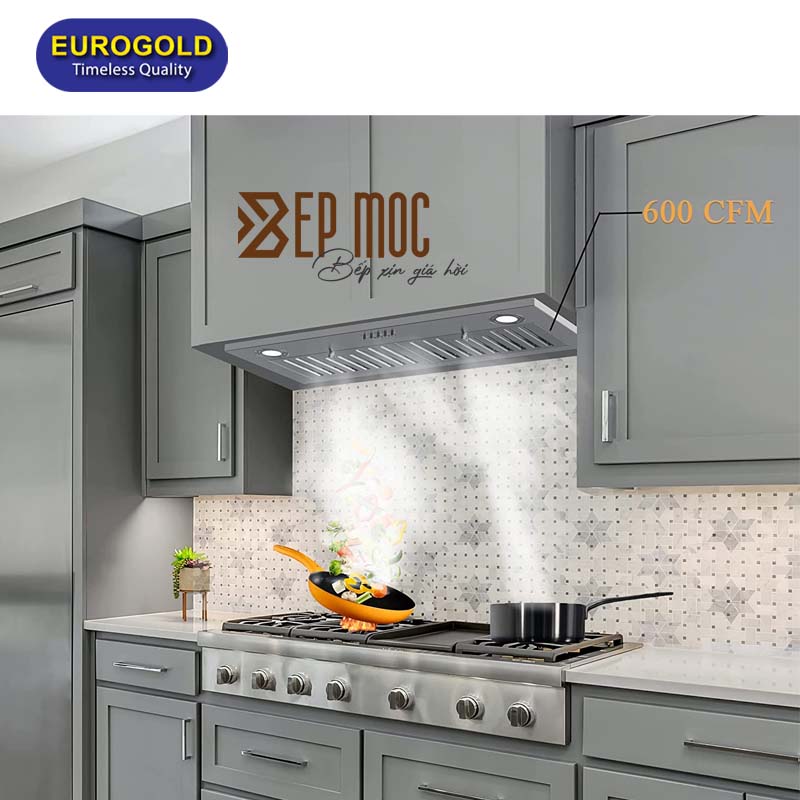 Máy hút mùi âm tủ EUH1070A Eurogold 4