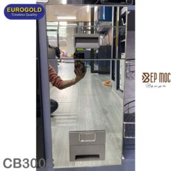 Thùng gạo mặt gương nút nhấn màu bạc CB300S Eurogold 2